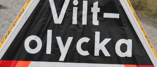 Viltolyckorna ökar i parningstider