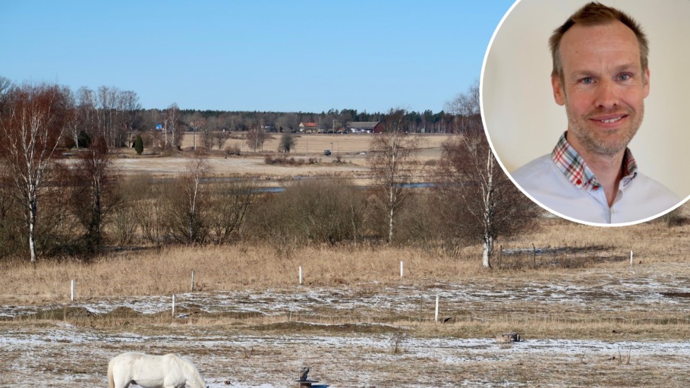 En av flera våtmarker som Dennis Wiström och hans kollegor anlagt är den vid Målserum.