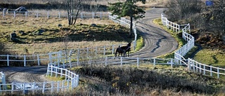 Ridhuset i Julmyra snart klart