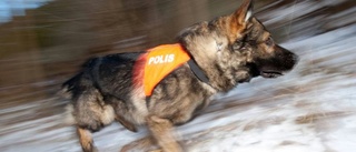 Inbrottstjuv sniffades upp av hund