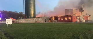 Hönseri totalförstört i storbrand