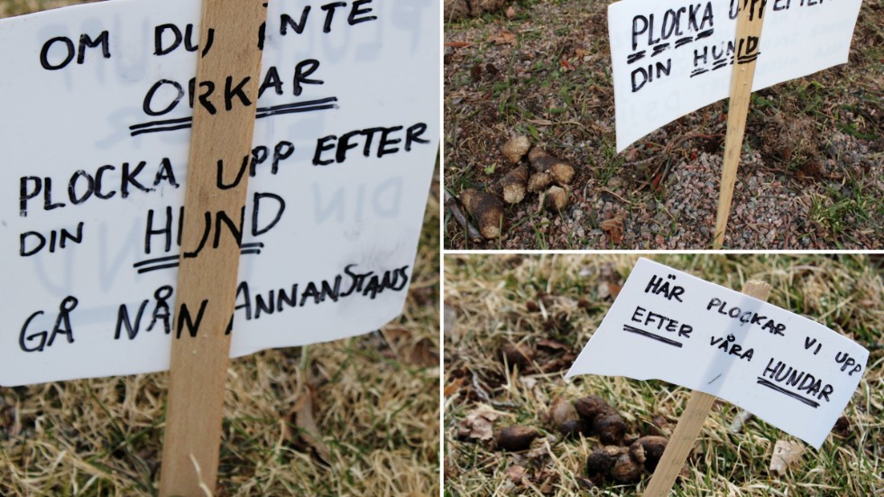 Skylttillverkaren uppmanar hundägare som inte orkar plocka upp efter sina hundar att gå någon annanstans.