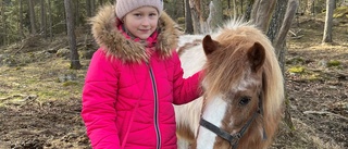 Melania, 6 år, tvingades fly kriget • Fick hjälp av Annika från Loftahammar • "Det gjorde starkt intryck på mig som förälder"