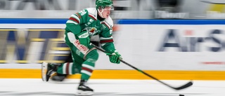 Almtuna tar in SHL-meriterad spelare