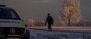 Treåring och mamma död i Norge – pappan häktad