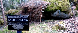 Låt Österskogen i Boxholm få fortsätta leva