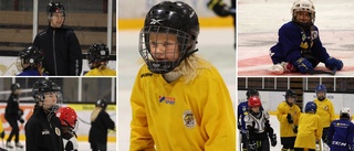 Vimmerby Hockey anordnade tjejhockeydag: "Finns stort intresse"