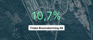 Här är siffrorna som visar hur det gick för Triabo Brunnsborrning AB senaste året