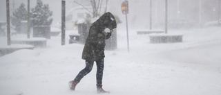 Prognosen för Norrköping: 30 centimeter snö och hård vind