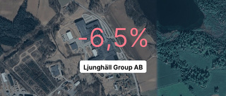 Ljunghäll Group AB: Redovisningen är klar – så ser siffrorna ut