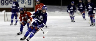 Låt oss rösta om bandyhall