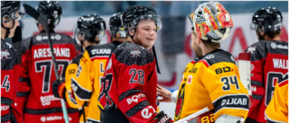 Klirr i kassan för Boden – hoppas på ny match mot Luleå Hockey