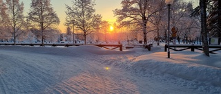 Dagens läsarbild: Vacker förmiddag vid kyrkogården