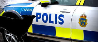 Hund gick till attack – hund och kvinna skadades