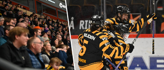 Skellefteå AIK har aldrig varit närmare SDHL