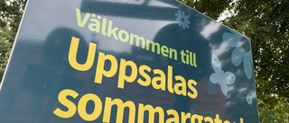 Här struntar bilisterna i förbudet på sommargatan