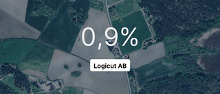 Logicut AB: Siffrorna från gångna året - så gick företaget