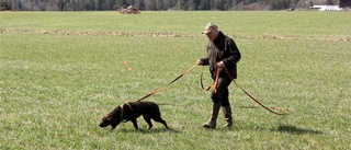 Rafflande spårtävling