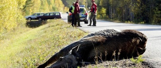 Här är länets farligaste vägar