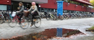 Bilen, bussen eller cykeln till jobbet?