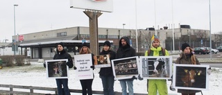 Protest mot "massdödandet"