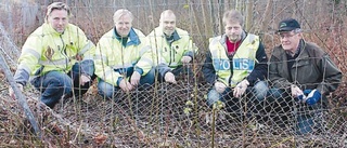 Nytt stängsel ska stoppa vildsvinen