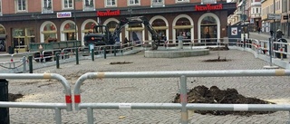 Torget ska få körsbärsträd