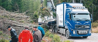 Välbesökt skogsdag i Hästmosshult