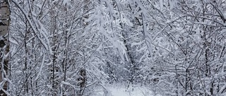 Snart kommer snön till Västervik