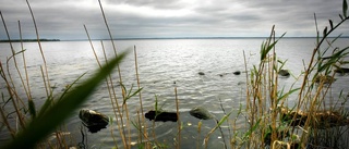 Nytt strandnära villaområde föreslås