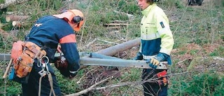 Ledningarna ska grävas ned i jorden