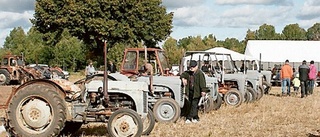 Plöjning med gamla grållar i Ålhult