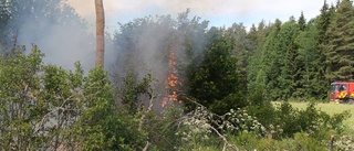 Öppna lågor vid skogsbrand