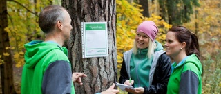 Tipspromenad för Barncancerfonden