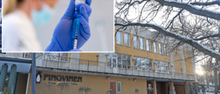 Pingvinen på Parken Zoo öppnar för vaccinering på fredag: "Inte drop-in"