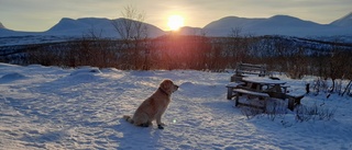 Läsarbilden: Sigge ser solen  