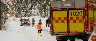 Häst påkörd på Långskatavägen 