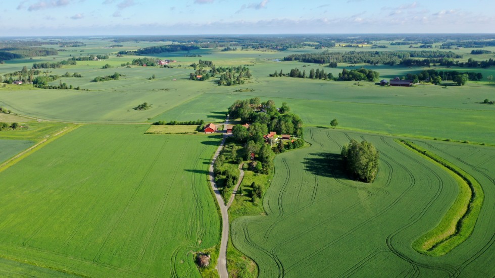 
"När saker ställs mot varandra bör det vara avgörande att det finns relevanta underlag inför prioriteringarna" skriver Tobias Josefsson.
