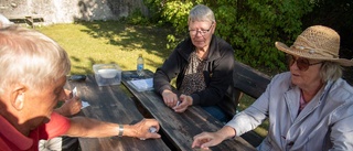 Bräusspel utomhus i Boge      