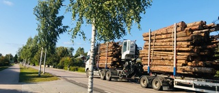 Älvkarleby sänker hastigheten på alla vägar