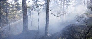 Mindre skogsbrand vid Härsmossen