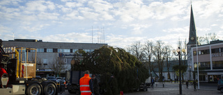  Här kommer årets julgran till torget i Motala