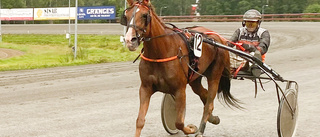 Moogie strålande bra i sin comeback