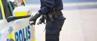 Herrelös hund fick polisen att ana oråd