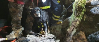 Rocky räddad efter flera timmars kamp