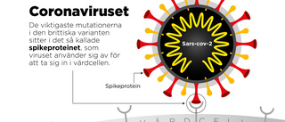 Mutation kan ha gjort coronaviruset dödligare