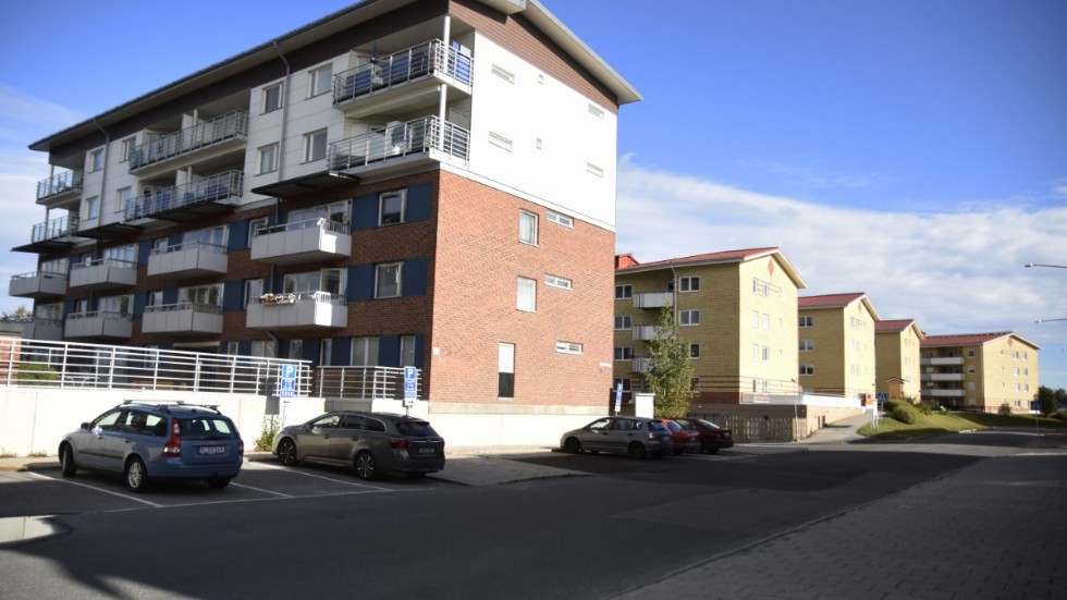 Det var huset i förgrunden som drabbades av vägglöss hösten 2019, ett problem som pågick fram till jul 2020. 