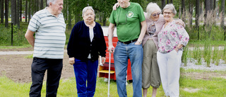 Pensionärerna blev biodlare – nu skördas det honung