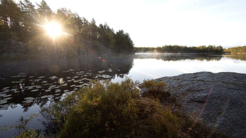 "Istället för att locka ut oansvariga människor i naturen och curla dem i oändlighet, kanske vi ska lägga pengarna och energin på att lära dem bete sig som folk" skriver Jakob Styrenius.