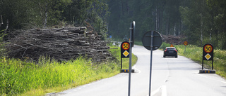 Föraren friad från alla misstankar i tragisk viltolycka